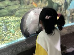 -苏州海洋馆