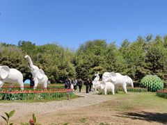 -廊坊市自然公园