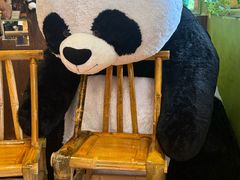 -无锡动物园·太湖欢乐园