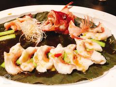 清蒸东星斑-宝丽轩中餐厅BAOLIXUAN