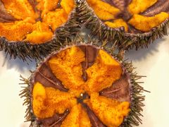 -海胆小馆(东北水饺·春柳店)