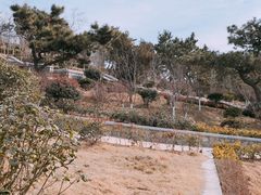 -浮山香苑