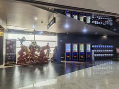 -SFC上影百联影城(八佰伴IMAX店)