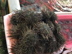 -南沙十九涌渔人码头-南门