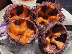 海胆-花潮料理艺食馆(成都万象城店)