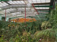 -第五季龙水凤港生态露营农场