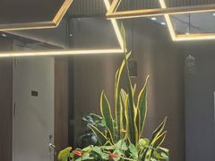 -康师傅私房牛肉面(新昌北机场店)