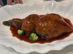 -丁老爷子苏香圆
