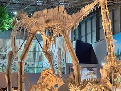 -西峡恐龙遗迹园