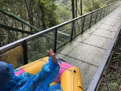 -龙湾潭国家森林公园