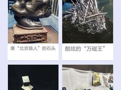 -中华赏石园