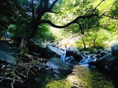 -少华山国家森林公园