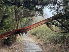 -南岳衡山风景名胜区