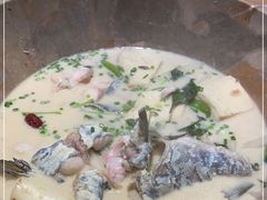 -云中鱼蒸汽石锅鱼(浦东食品城店)