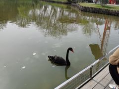 -金陵矩阵(聚宝山公园店)