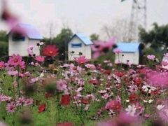 -广东花都香草世界旅游度假区