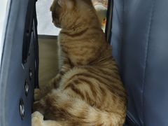 -拜鲁耶动物诊疗中心·宠家动物医院