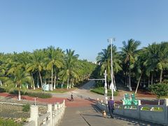 -万绿园
