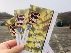 -汉景帝阳陵博物院