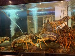 -渔洲情海鲜酒家