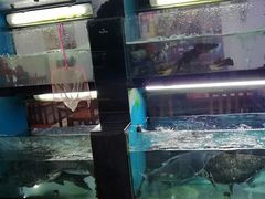 -全乐鱼馆·淳牌有机鱼直营店