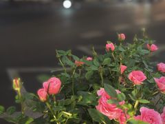 -老街杂酱面(东升街店)
