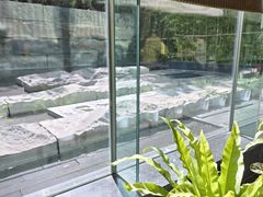 -外滩悦榕庄·海怡西餐厅
