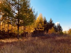 -塞罕坝国家级自然保护区