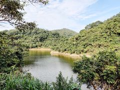 -梧桐山风景名胜区