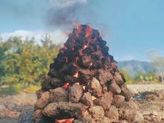 -窑鸡王(城市广场店)