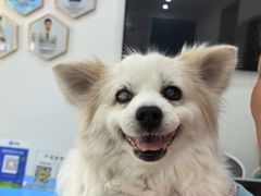 -守诺宠物医院·眼科· 神经外科·爬宠专科(虹口店)