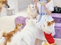 -怪兽屋·羊驼·猫咖·狗咖(俊华广场店)