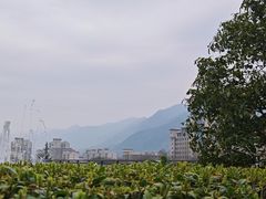 -西安国际创新人才交流中心•药浴温泉