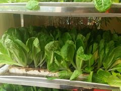-福照楼汽锅鸡·云南菜(护国路店)