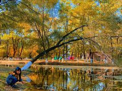 -长白岛森林公园