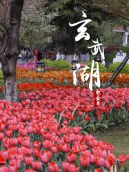 -玄武湖景区-情侣园游乐场