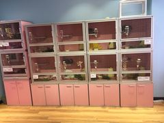 -藦茜花园宠物主题亲子互动体验馆(国顺东路店)