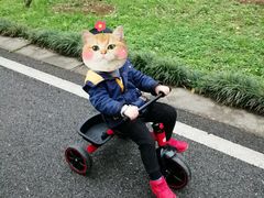 -贵阳市花溪国家城市湿地公园