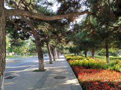 -东北大学(南湖校区)