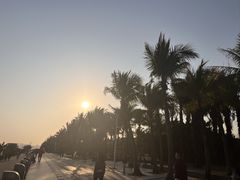 -深圳湾公园(南山区)
