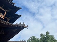 -杭州半山国家森林公园