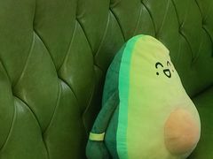 -油梨树AVOCADO TREE(望京店)