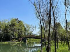 -西溪国家湿地公园