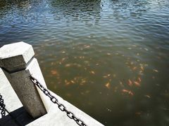 -文瀛公园