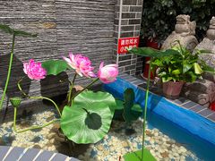 -欠火锅·水牛毛肚·团建聚餐·生日宴(何山路店)