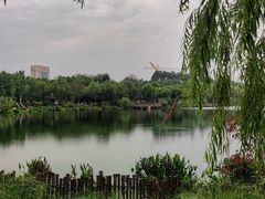 -琴亭湖公园