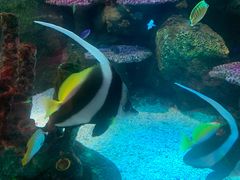 -沈阳海洋探索中心