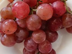 -金宝生活市场(东五环店)