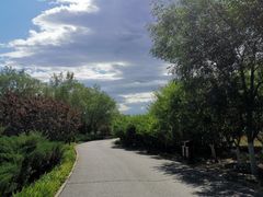 -永定河休闲森林公园