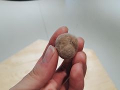 -藏猫猫咖啡主题馆(中央大道店)